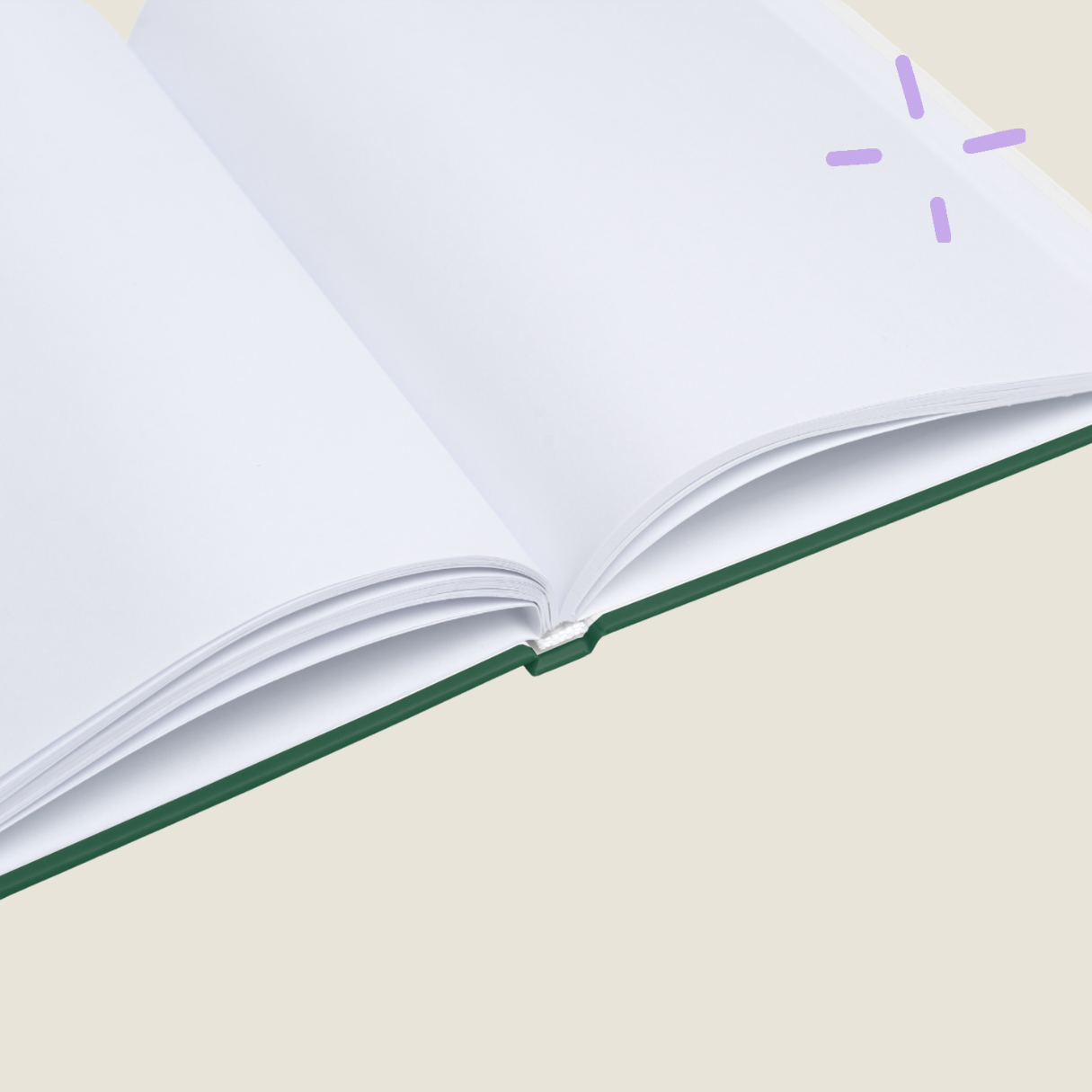 Imaginary conversations with my accountant - Hardcover notebook - green