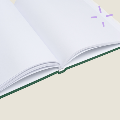 Imaginary conversations with my accountant - Hardcover notebook - green